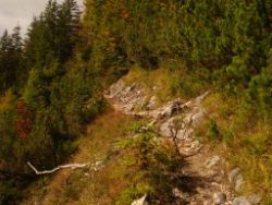 2013-10-08_Guffert (019).JPG